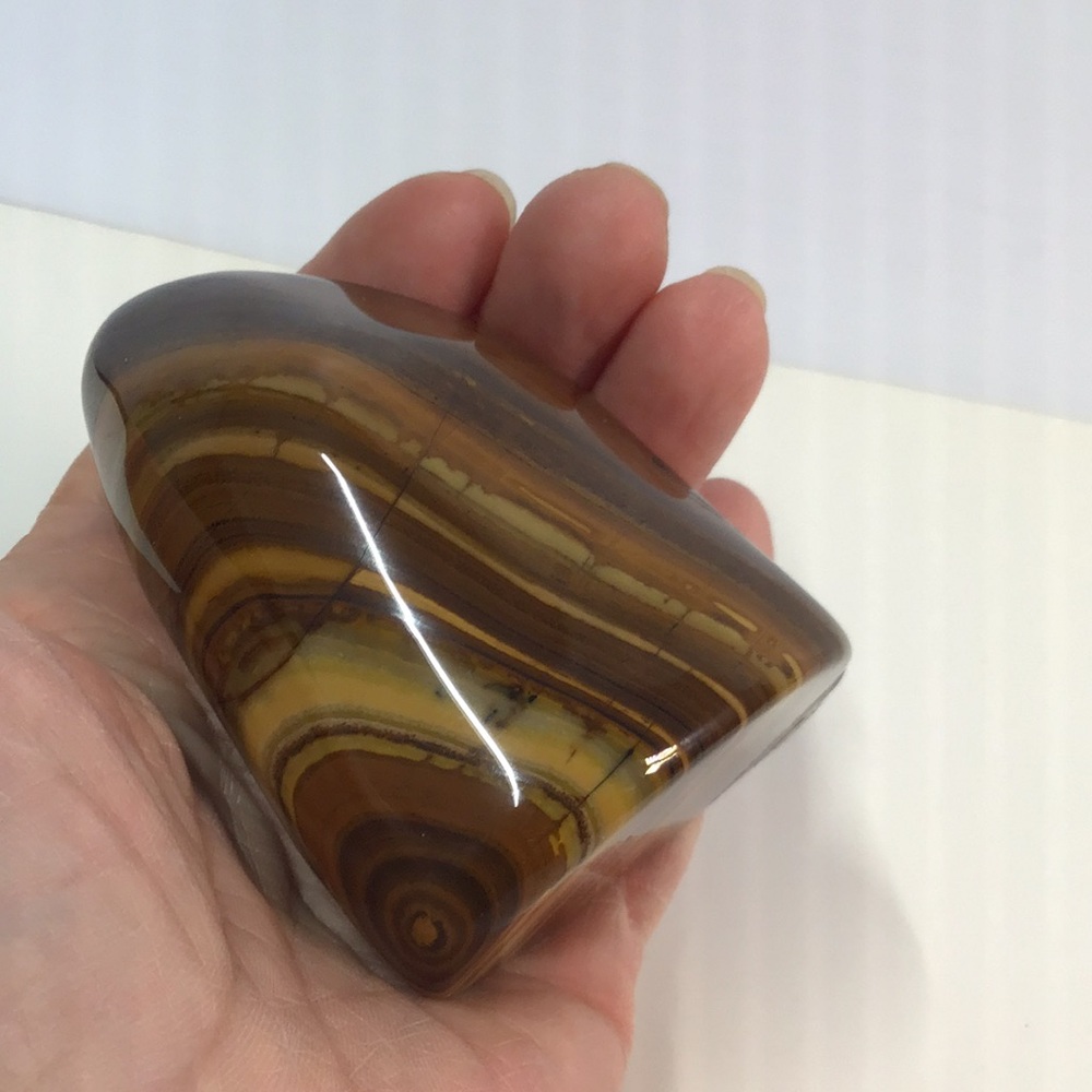 Polished rock decor petrified wood or? striped, smooth & beautiful nature